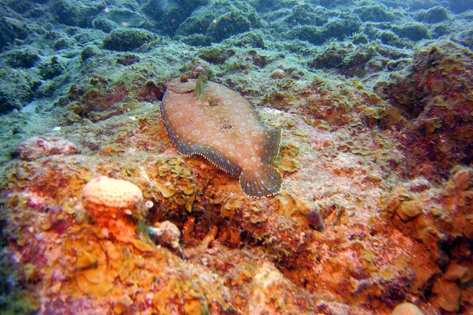 Discover Scuba Diving in Curacao - Directions to the Dive Center