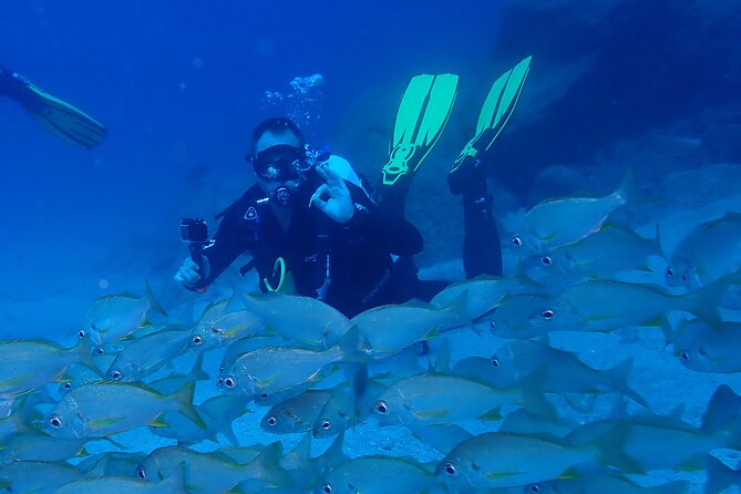 Discover Scuba Diving, Tenerife. Photos and Videos Included - Practical Information for Scuba Diving in Tenerife