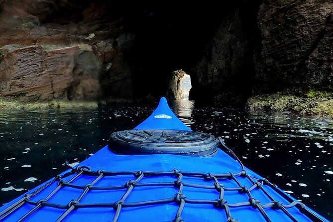 Discover the Secrets of the Island of Santantioco by Kayak - Wildlife and Marine Encounters