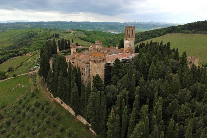 Discovering Chianti, E-Bike Tour - Daily Experience - Customer Reviews