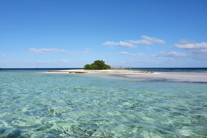 Discovery by Boat of the Mangrove and Its Lagoon in 7 Stages Including 4 Swimming - Common Questions