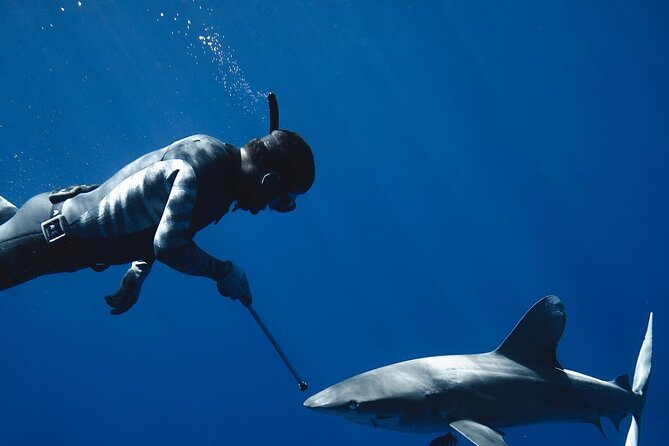 Dive With the Sharks, Moorea and Tahiti - Reviews and Pricing