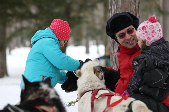 Dogsled Adventure in Mont-Tremblant - Drive or Ride as a Passenger
