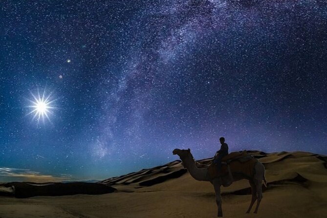 Doha Night Desert Safari Camel Ride Dune Bashing With Transfer - Whats Included