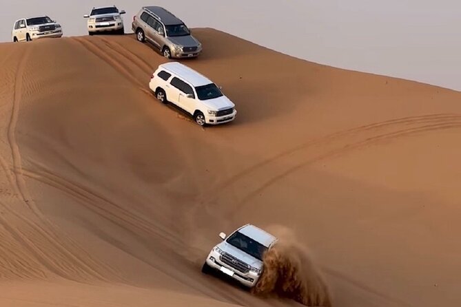 Doha, Qatar: Doha Desert Safari & City - Full Day Private Tour. - Reviews