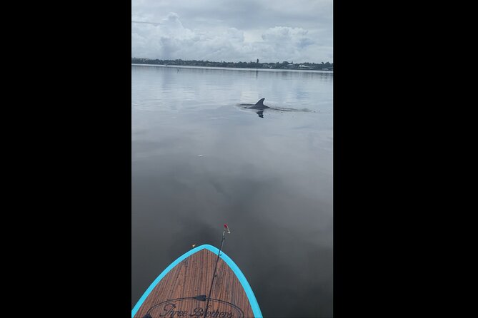 Dolphin and Manatee Adventure Tour of Naples With Florida History - Meeting and Pickup Details