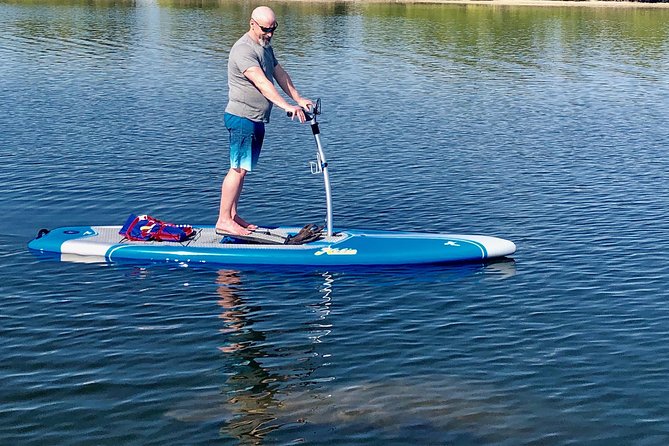 Dolphin & Manatee Watching Stand Up Pedalboarding Tour - Cancellation Policy