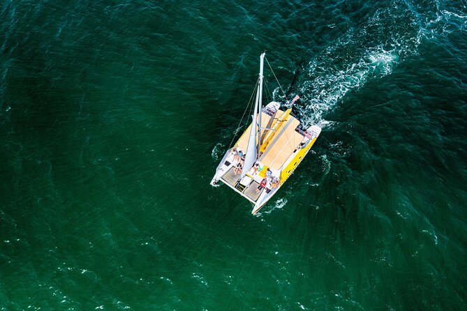 Dolphin Sightseeing Tour on the Footloose Catamaran From Panama City Beach - Customer Reviews and Host Responses