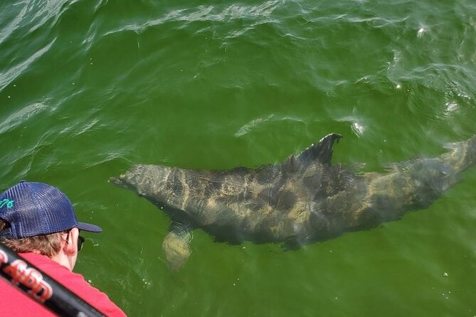 Dolphin Tour & Inshore Fishing Adventure (Flowing Water Charters) - Meeting and Pickup