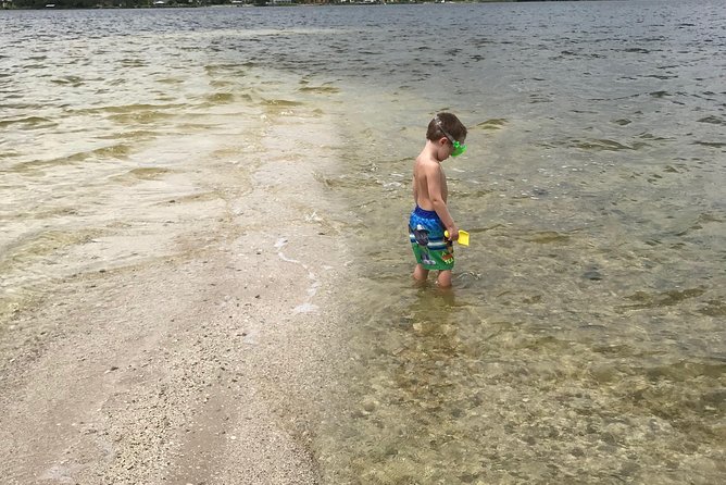 Dolphin Tours Along and Near the Beautiful Indian River Lagoon - What To Expect