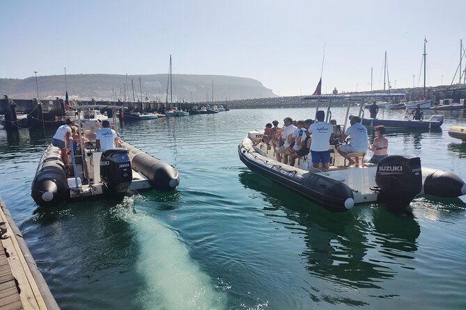 Dolphin Watching and Boat Tour in Sesimbra - Cancellation Policy
