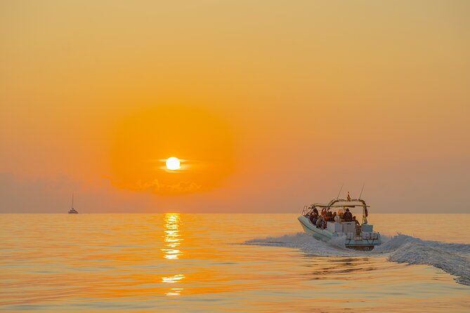 Dolphin Watching by Boat - Meeting and Pickup Details