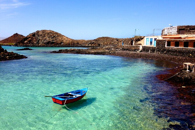 Dolphin Watching Cruise to Lobos Island - Tour Experience