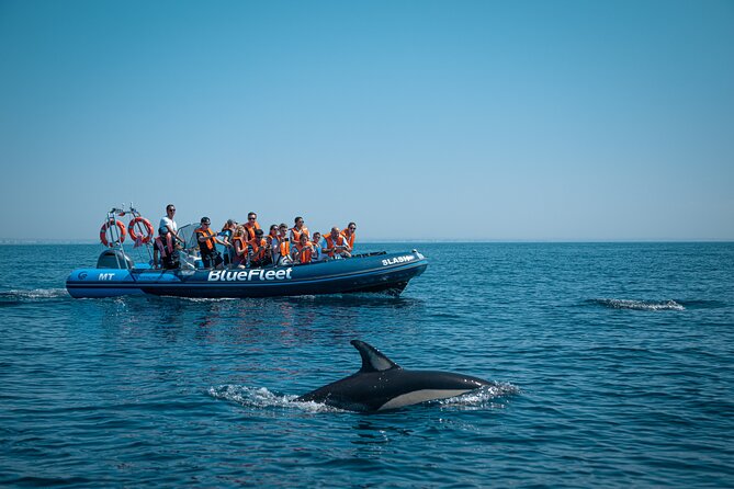 Dolphin Watching From Lagos - Directions