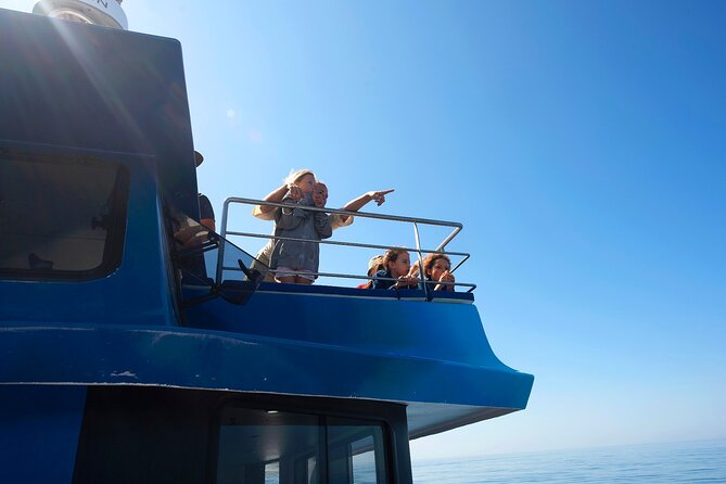 Dolphin Watching Half-Day Cruise From Lagos - Dolphin Spotting Opportunities