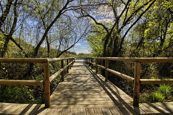 Donana National Park in Two Days From Seville - Logistics and Details