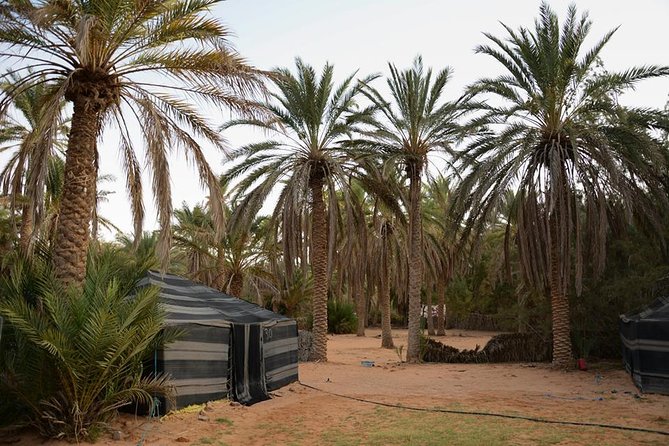 Door of the Tunisian Desert Ksar Ghilane and Matmata: Full One Day - Additional Information
