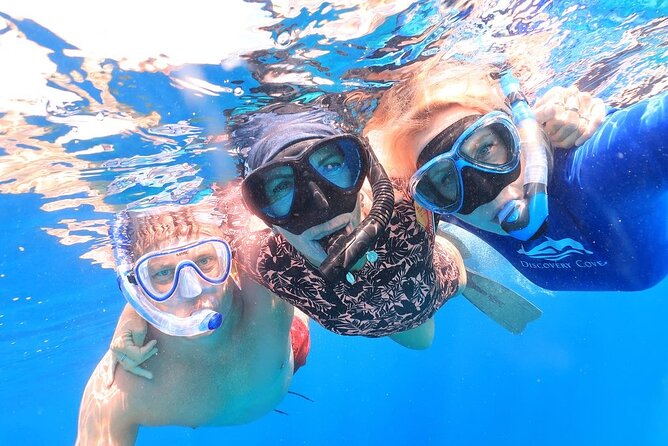 Double Dip Snorkel Trip - Sea Cow Services