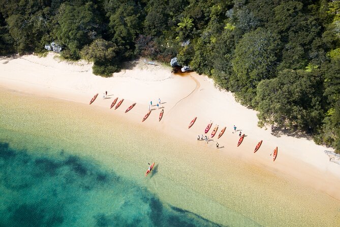 Double Kayak Hire - 4 Hours - Common Questions