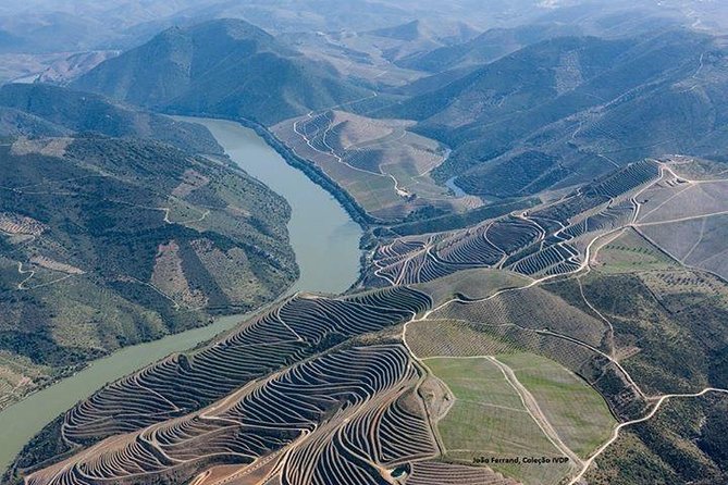 Douro Winery Tour With Cruise and Lunch From Peso Da Regua - Minimum Traveler Requirement Information