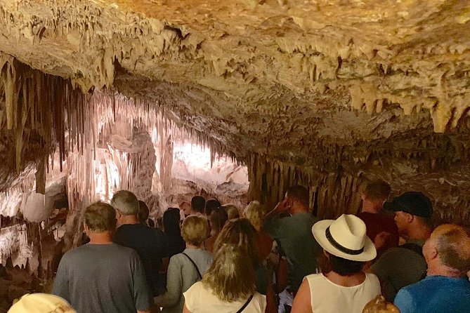 Drach Caves With Port Cristo and Pearl Shop Mallorca Full Day Tour - Tour Schedule
