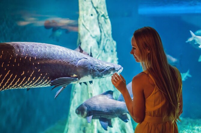 Dubai Aquarium and Underwater Zoo Entry Tickets - Reviews and Cancellation