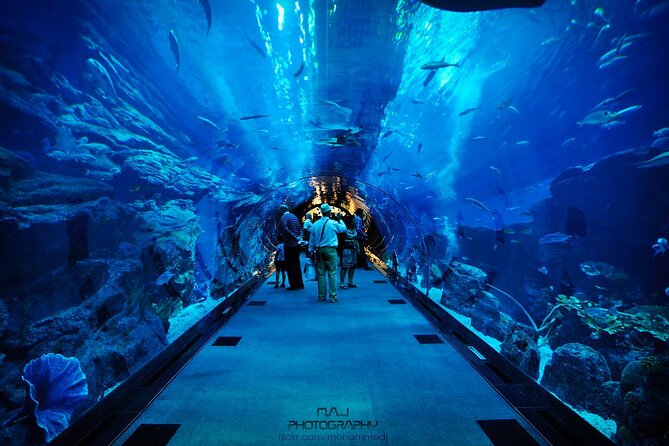 Dubai Aquarium & Underwater Zoo - Common Questions About Dubai Aquarium