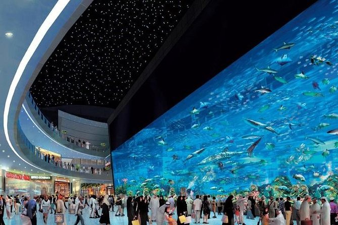 Dubai City Tour From Abu Dhabi - Bargaining Skills at Gold Souk