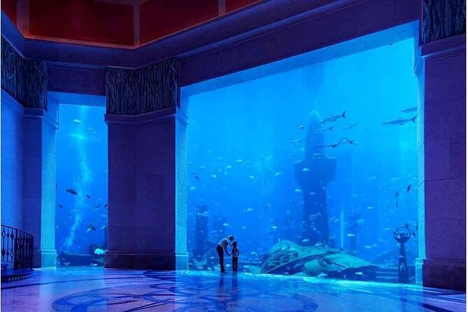 Dubai The Lost Chambers Aquarium Entrance Ticket - Common Questions