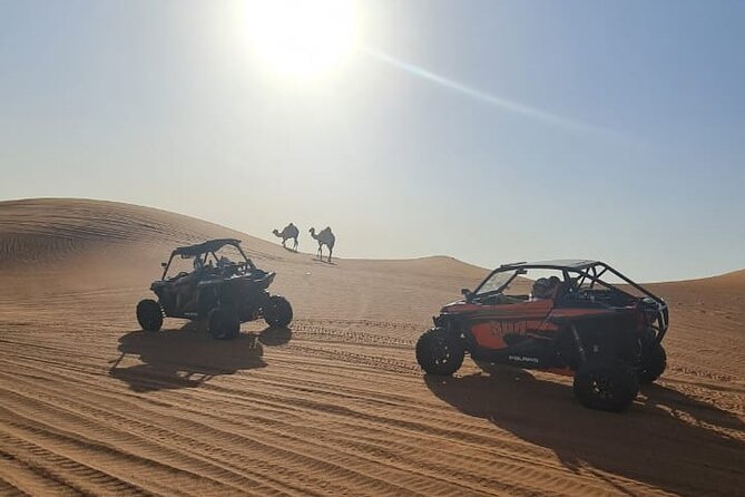 Dubai: Unique MORNING Buggy Red Dunes Safari With Sandboarding and Camel Ride - Whats Included