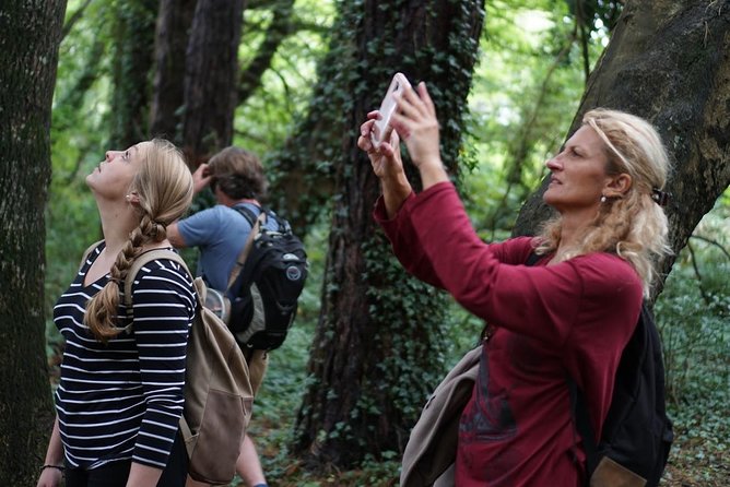 Dublin Coastal Hike With Howth Adventures - Tour Logistics