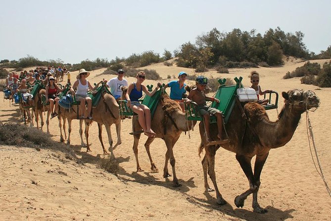 E-Bike City Tour With Camel Safari on the Maspalomas Dunes - Meeting and Pickup