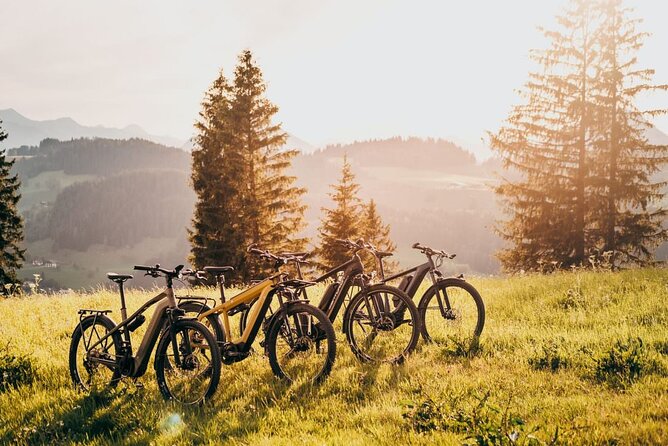 E-Bike Guided Tour Cycling Corfé Castle - Meeting and Pickup Information