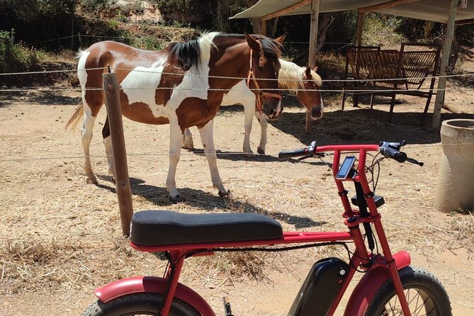 E-Bike Tour in Albufeira - Accessibility and Recommendations