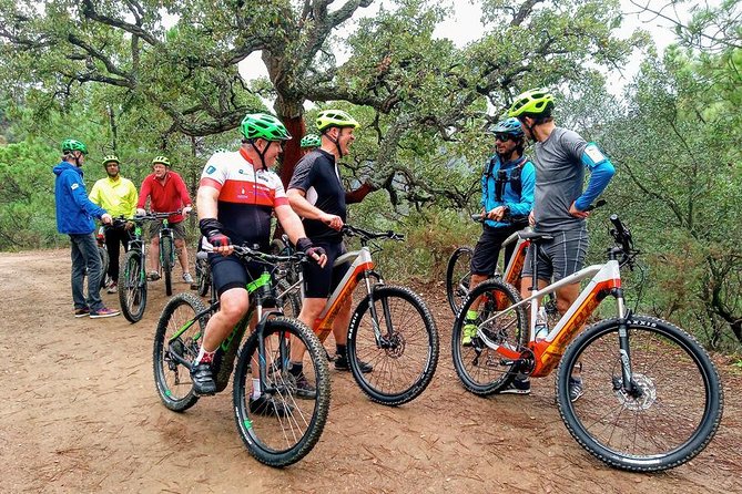 E-Mountain Bike & Wine Tour From Marbella to Sierra Blanca - Exhilarating Downhill Ride
