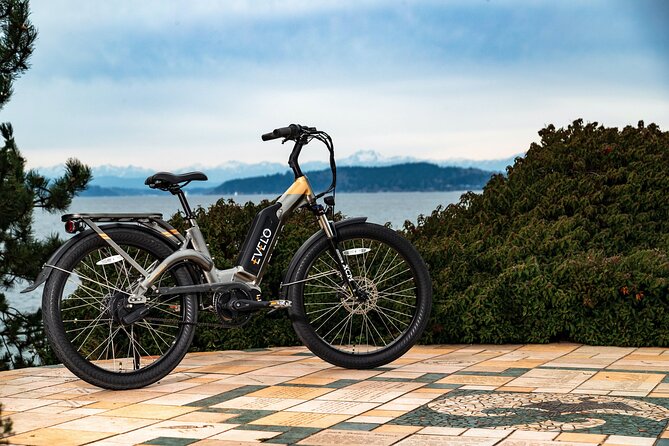 E-Scooter - E-Bike - Quadracycle - Bikes - Kick Scooter - Rental Options and Availability