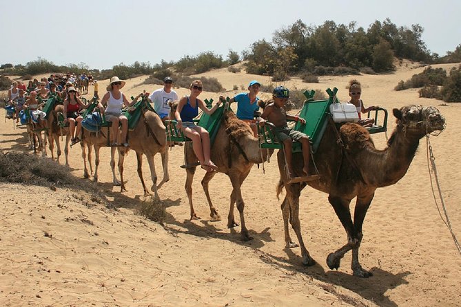E-Scooter Tour & Camel Safari : Visit 4 Hours Maspalomas Dunes & Meloneras Beach - Directions
