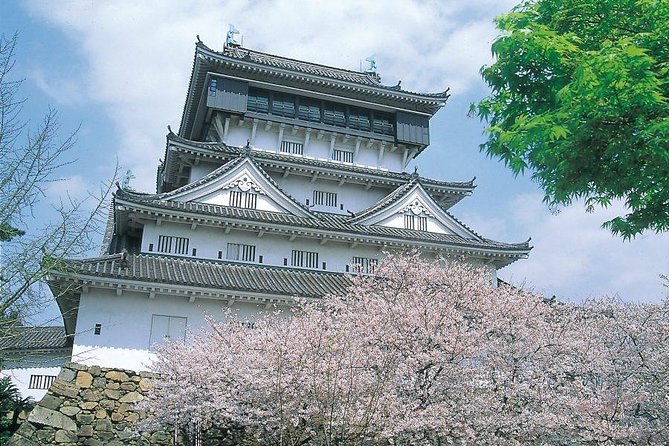 北九州で桜を巡る1日チャーターバスツアー - Refund Policy