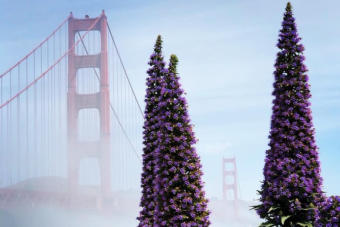 Early Morning Golden Gate Bridge Tour - Safety Measures and Guidelines