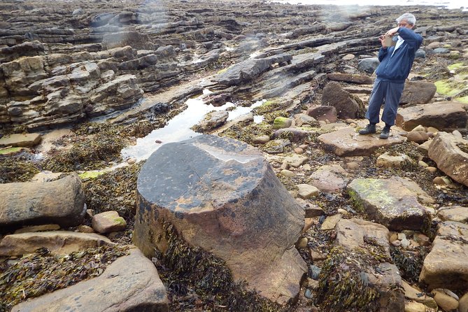 East Neuk Treasures Tour From St Andrews - Directions for the East Neuk Treasures Tour
