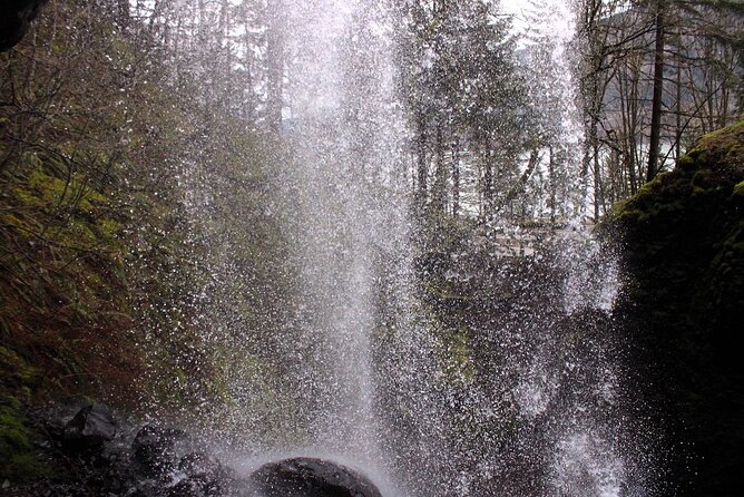 Ebike Ride to 5 Gorge Waterfalls and a Swimming Hole - Waterfall #4: Oneonta Gorge
