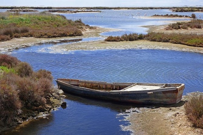 Ebro Delta Tour - Hotel Pick up From Salou/Tarragona - Pickup Details