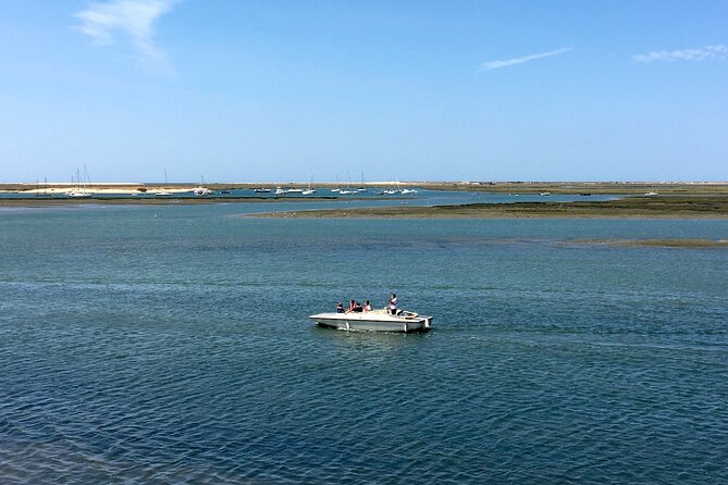 Eco Boat Tour in the Ria Formosa Lagoon From Faro - Reviews