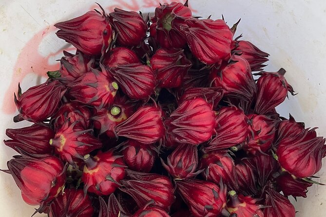 Edible Hibiscus Guided Farm Tour (Big Island) - What to Expect on the Tour