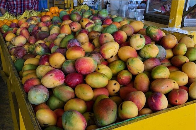 El Yunque and Playa Luquillo Casual Day Trip  - San Juan - Tour Guides and Customer Recommendations