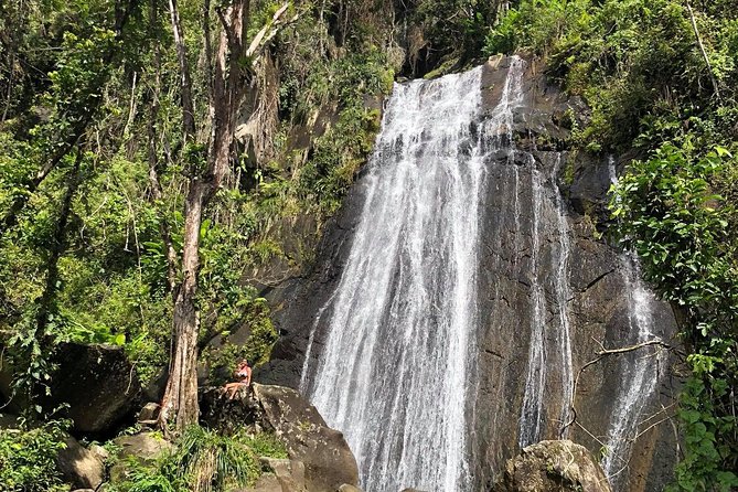 El Yunque National Forest Half Day Tour - Traveler Tips