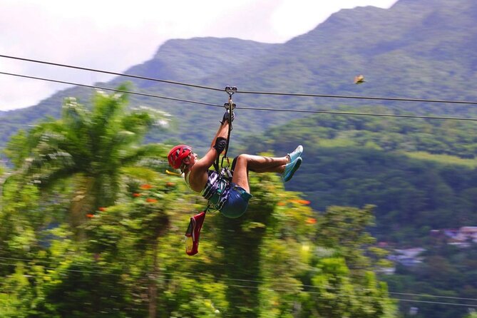 El Yunque National Forest Ziplining Experience  - Luquillo - Common Questions