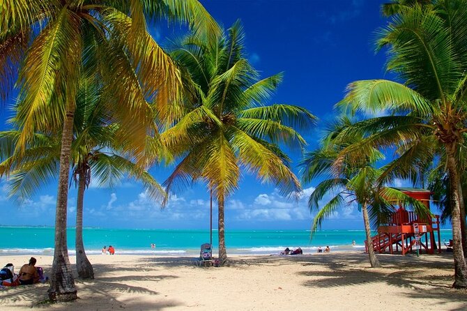 El Yunque Natural Slide and Luquillo Beach-Private Tour of Eastern Puerto Rico - Negative Experience