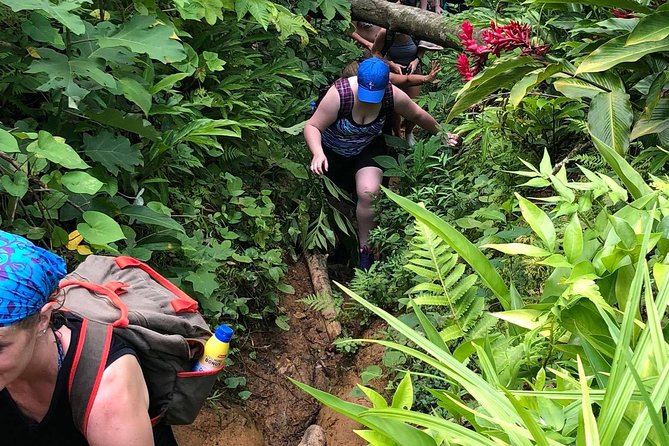 El Yunque Off the Beaten Path Tour - Directions