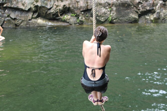El Yunque Private Tour From San Juan  - Puerto Rico - Comparison of Service Dogs and Comfort Dogs